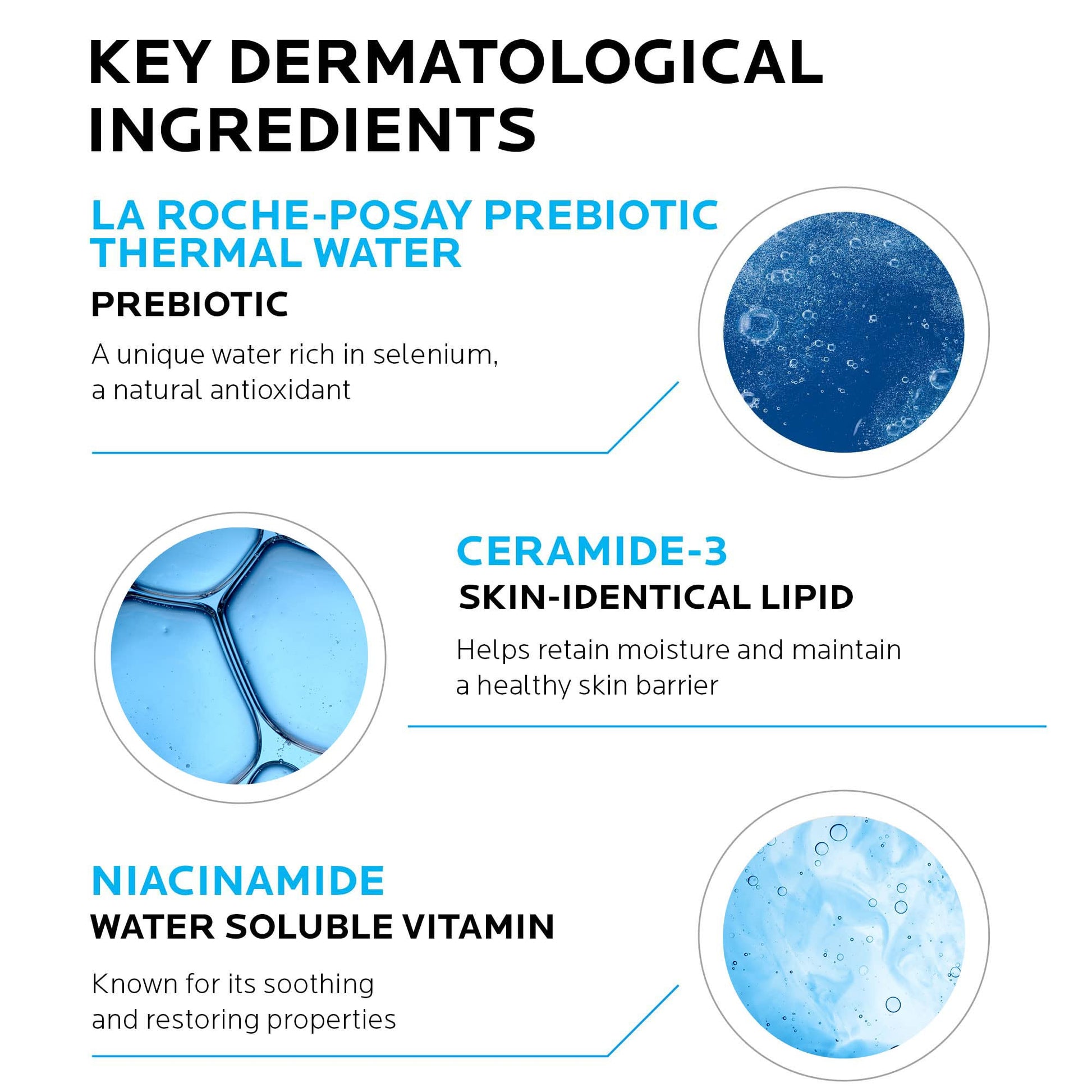 La Roche - Posay Toleriane Double Repair Face Moisturizer, Daily Moisturizer Face Cream with Ceramide and Niacinamide for All Skin Types, Oil Free, Fragrance Free - Taylor K Shop