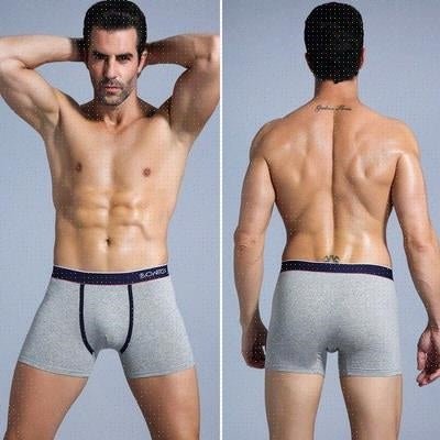 Men's Cotton Underwear Men's Underwear Plus Size Suit - Taylor K Shop