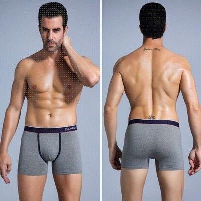 Men's Cotton Underwear Men's Underwear Plus Size Suit - Taylor K Shop