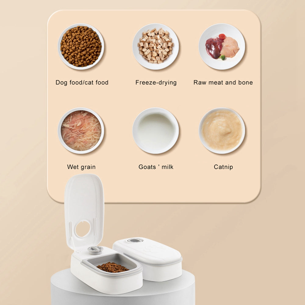 Automatic Pet Feeder Smart Food Dispenser For Cats Dogs Timer Stainless Steel Bowl Auto Dog Cat Pet Feeding Pets Supplies - taylorkinfo