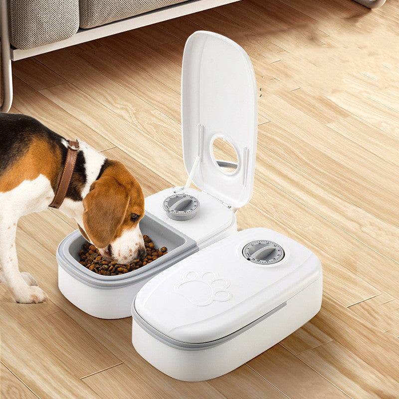 Automatic Pet Feeder Smart Food Dispenser For Cats Dogs Timer Stainless Steel Bowl Auto Dog Cat Pet Feeding Pets Supplies - taylorkinfo