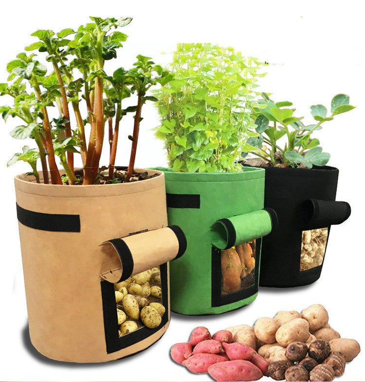 Planting bag Potato - Taylor K Shop