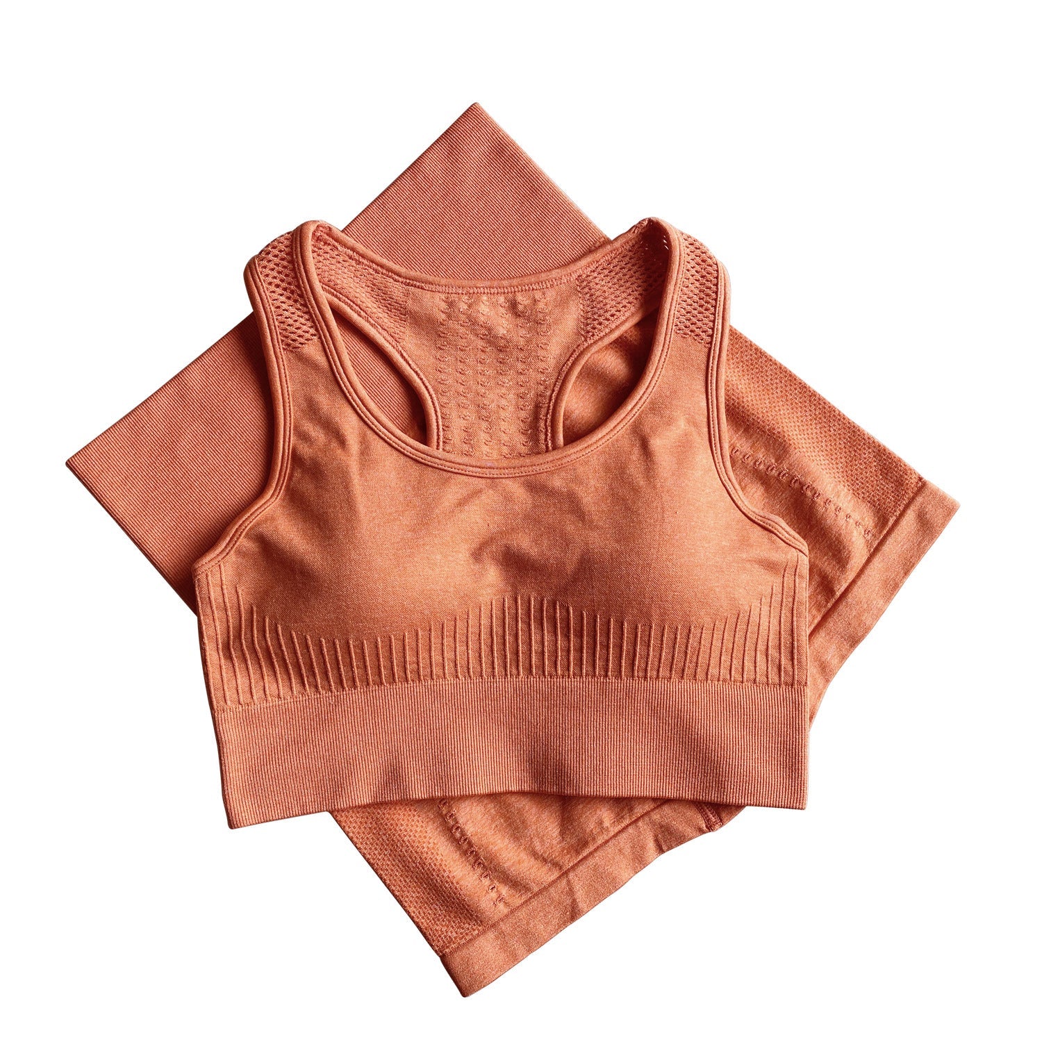 Seamless Women Activewear Sports Fitness Gym Yoga Bra Biker Shorts Sets 2 Piece Women Short Set - Taylor K Shop