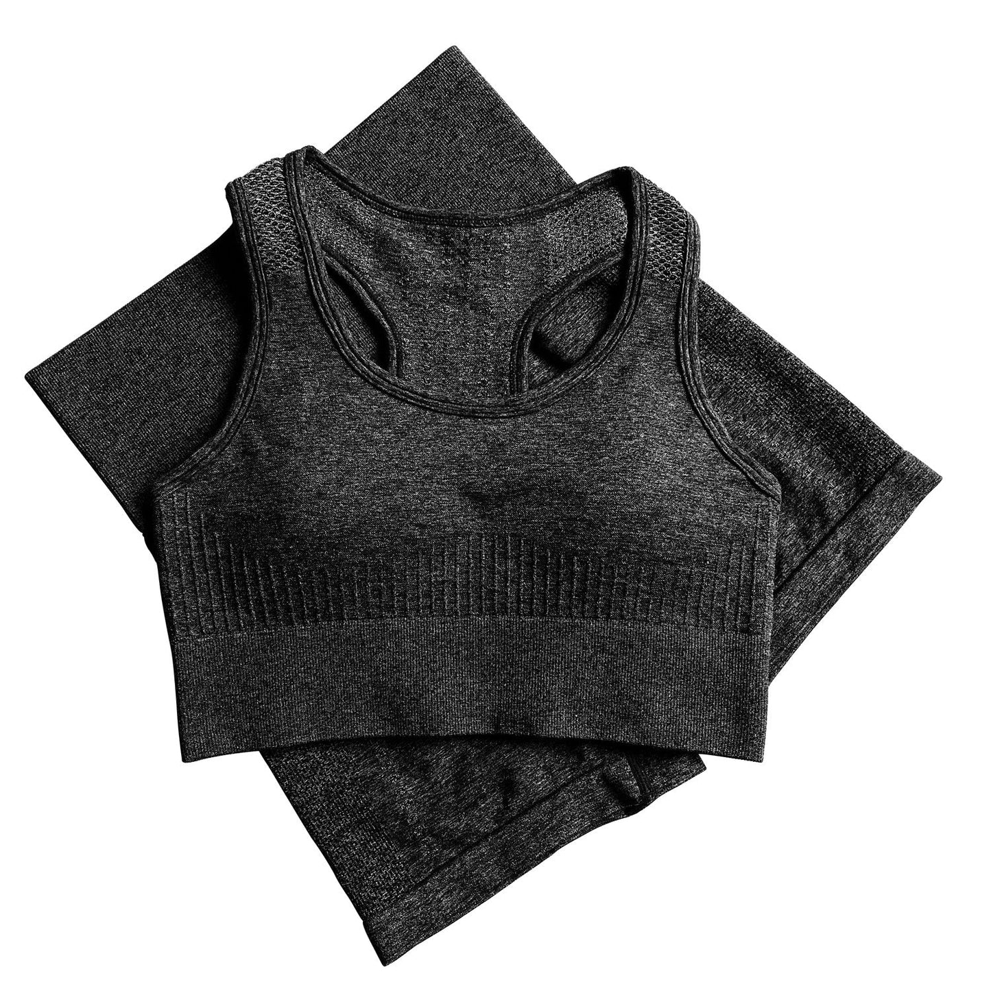 Seamless Women Activewear Sports Fitness Gym Yoga Bra Biker Shorts Sets 2 Piece Women Short Set - Taylor K Shop